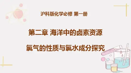 氯气的性质、氯水成分、漂白粉生效原理探究++课件高一上学期化学沪科版(2020)必修第一册