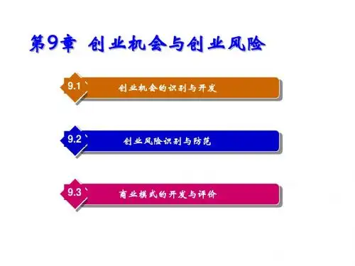 大学生就业指导第9章  创业机会与创业风险