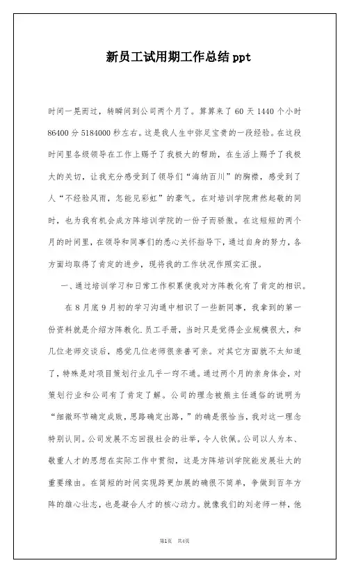 新员工试用期工作总结ppt