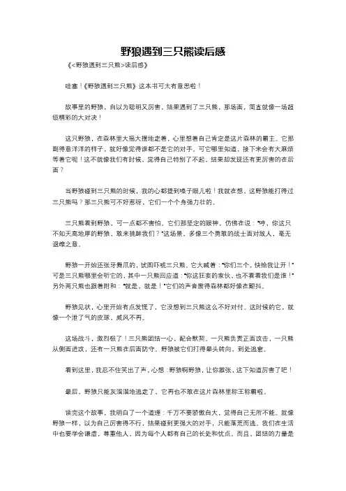 野狼遇到三只熊读后感