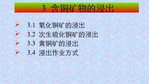 304-其他资源-铜矿物的浸出、萃取及电沉积
