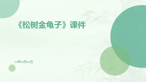 《松树金龟子》课件