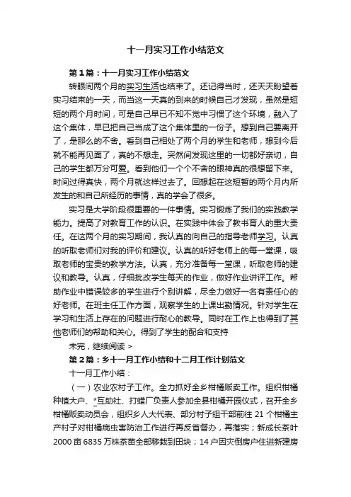 十一月实习工作小结范文