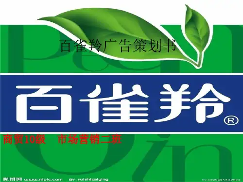 百雀羚广告策划书