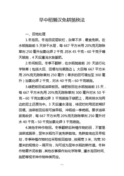 早中稻懒汉免耕抛秧法