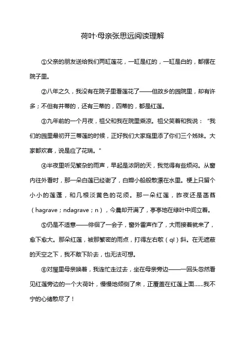 荷叶·母亲张思远阅读理解