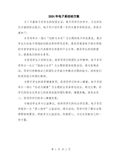 2024年电子系活动方案