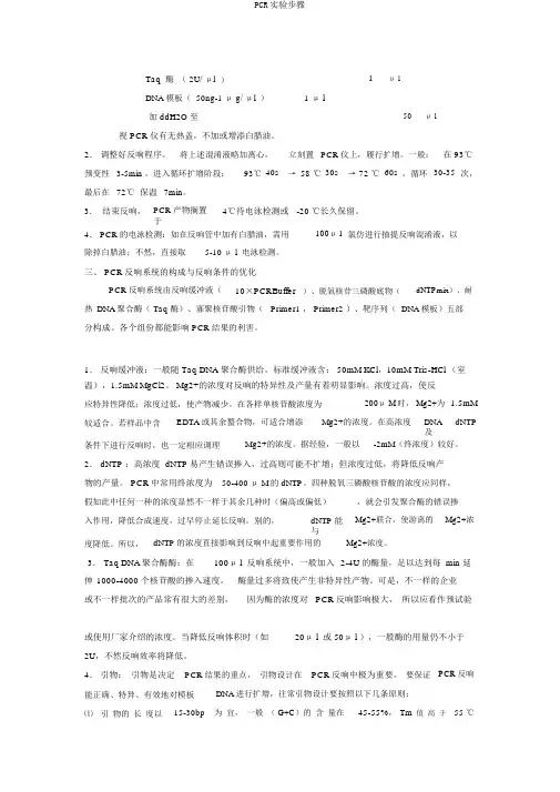 PCR实验步骤