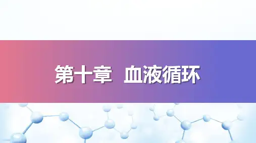 血液循环—心血管活动的调节(生理学课件)