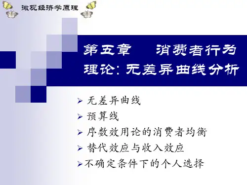 消费者行为理论无差异曲线分析
