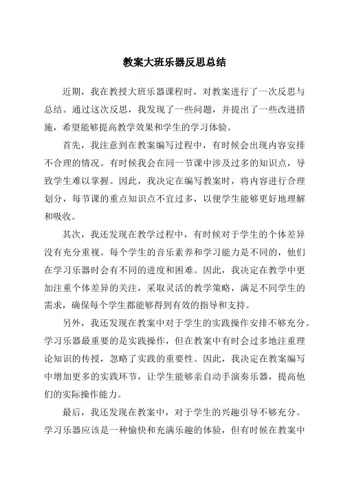 教案大班乐器反思总结