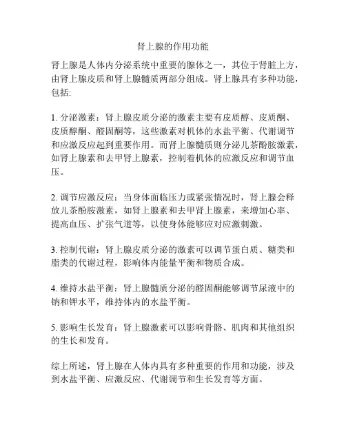 肾上腺的作用功能