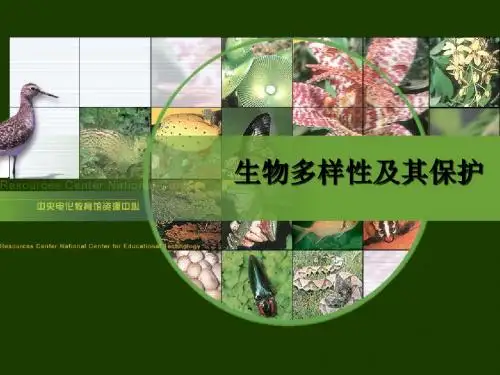 生物多样性ppt课件