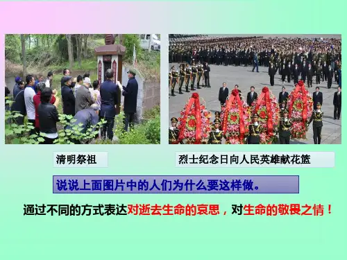 道德与法治《敬畏生命》_PPT1