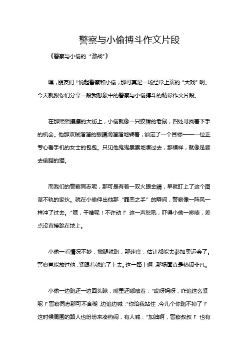 警察与小偷搏斗作文片段