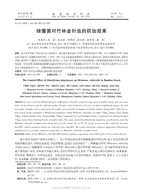 绿僵菌对竹林金针虫的防治效果