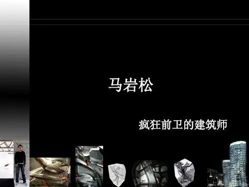 马岩松作品介绍、分析、评价