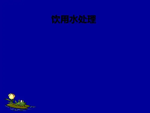 饮用水处理ppt课件
