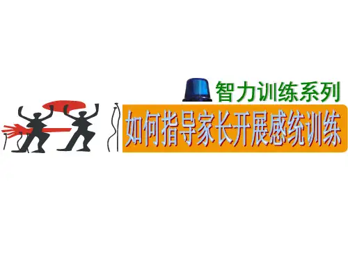 儿童感觉统合失调表现教学课件