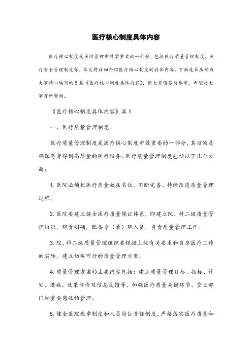 医疗核心制度具体内容