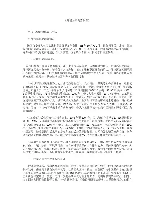 环境污染调查报告10篇