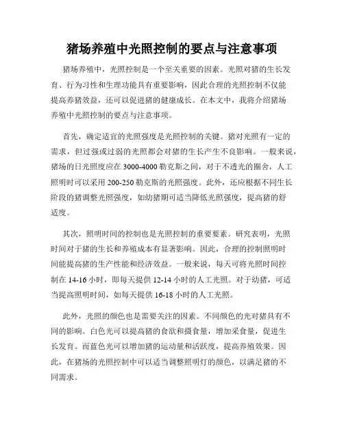 猪场养殖中光照控制的要点与注意事项
