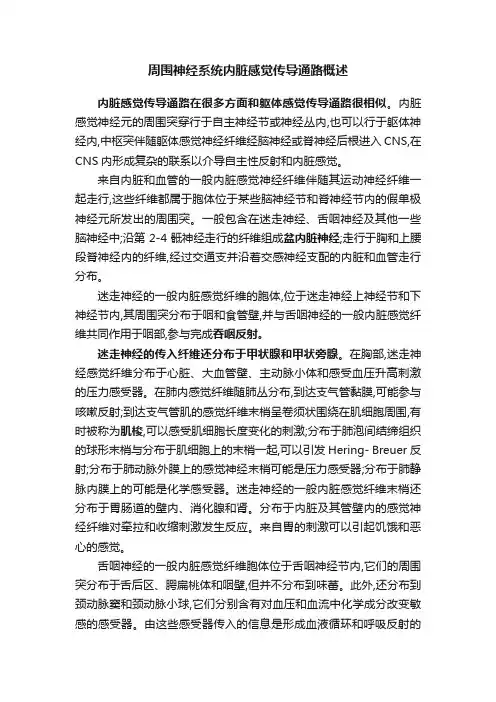 周围神经系统内脏感觉传导通路概述