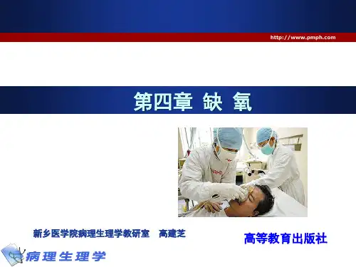 病理生理学课件 缺氧