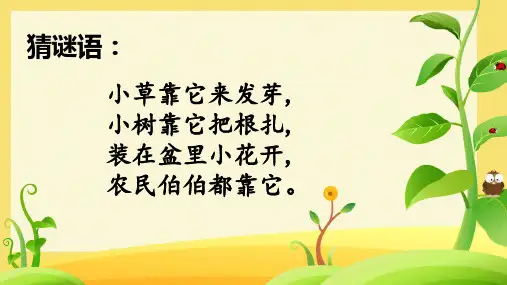 教科版科学四年级下册6.观察土壤 (课件)(共10张PPT)