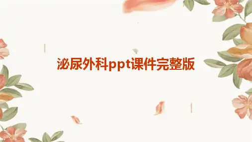 2024泌尿外科ppt课件完整版