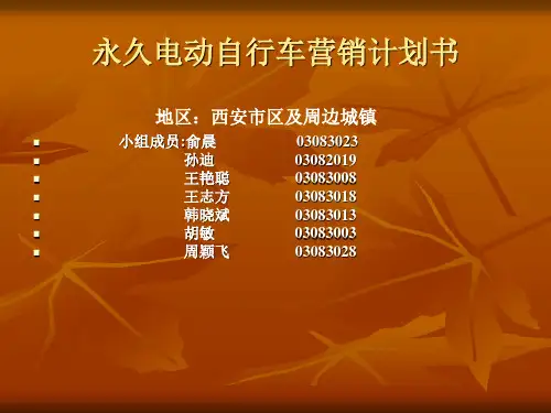 永久电动自行车营销计划书(PPT 19页)