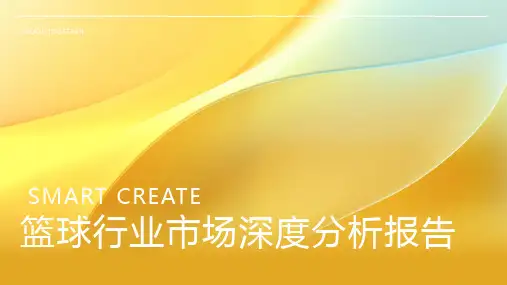 篮球行业市场分析报告