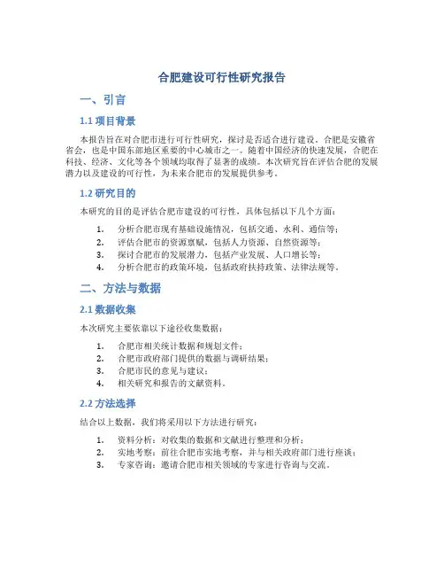 合肥建设可行性研究报告