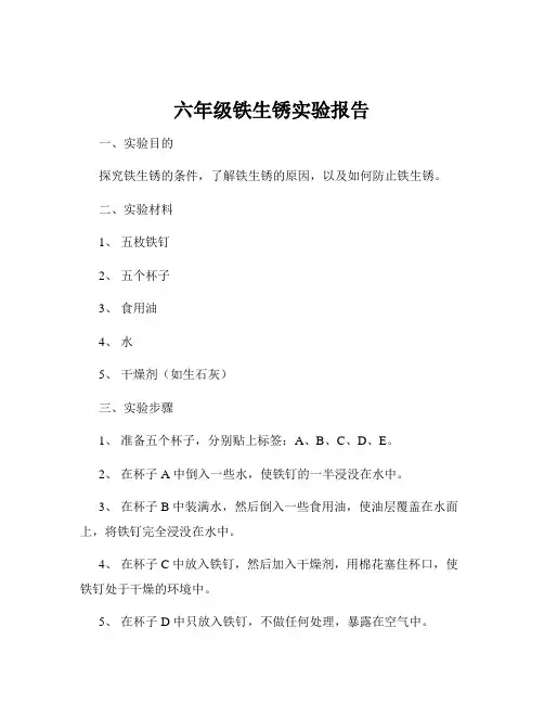 六年级铁生锈实验报告