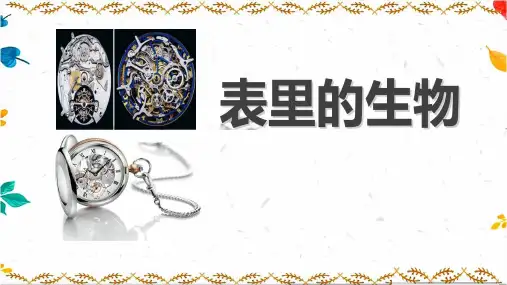 《表里的生物》赏析