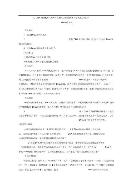 4.2DNA的结构和DNA的复制第2课时教案(苏教版必修2)