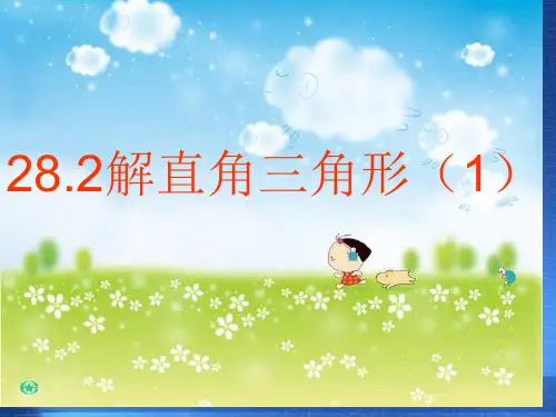 解直角三角形省名师优质课赛课获奖课件市赛课一等奖课件