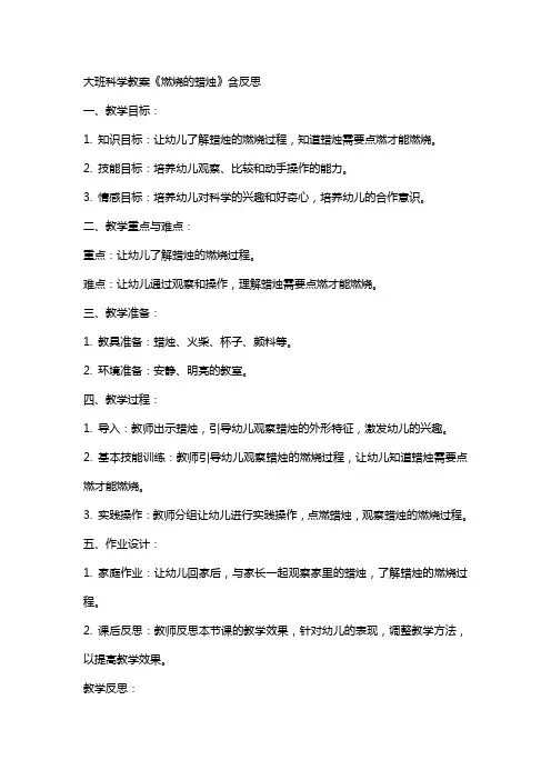 大班科学教案《燃烧的蜡烛》含反思