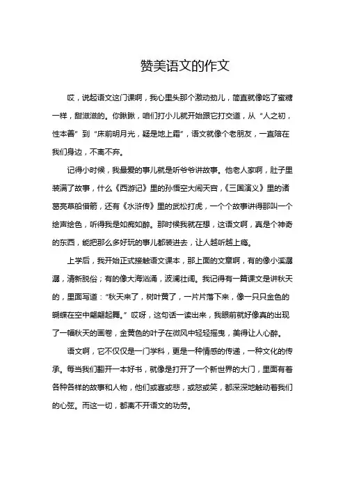 赞美语文的作文