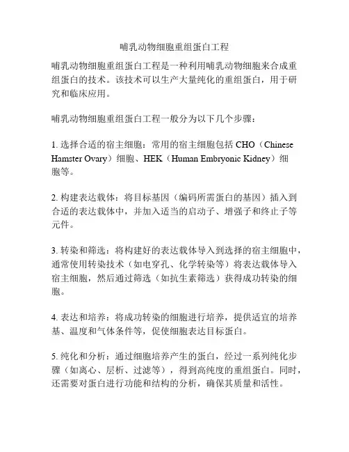 哺乳动物细胞重组蛋白工程