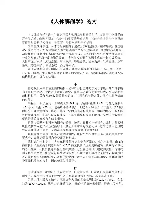 人体解剖学