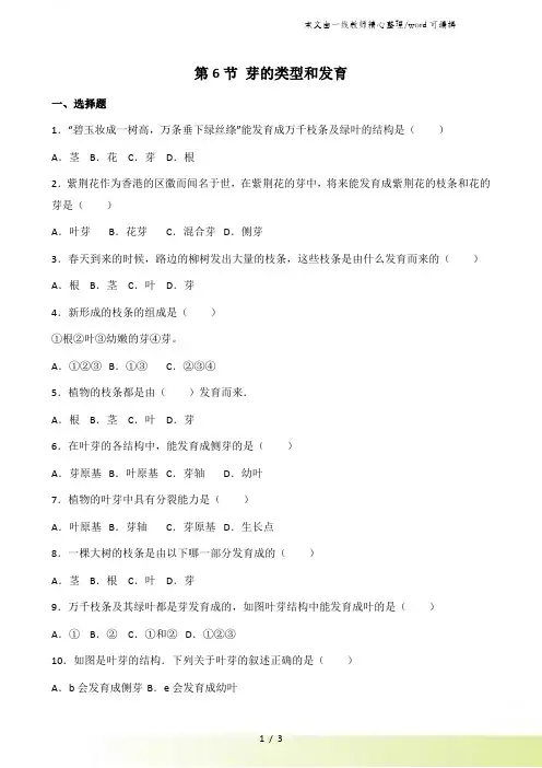 济南版八年级上册生物第四单元 第一章 第6节 芽的类型和发育 同步测试题