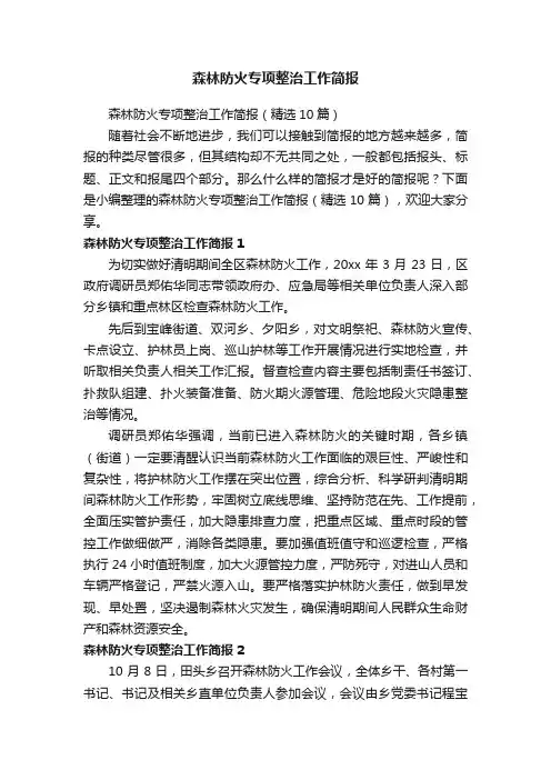 森林防火专项整治工作简报