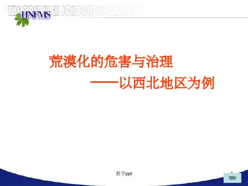 荒漠化的危害与治理湘教版地理必修三