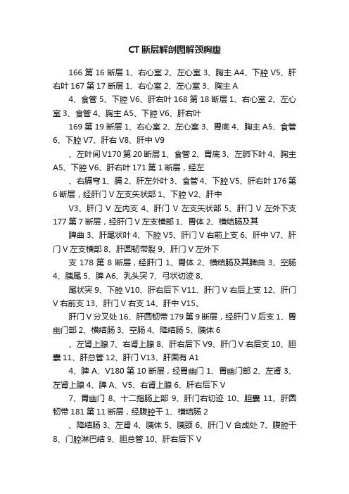 CT断层解剖图解颈胸腹