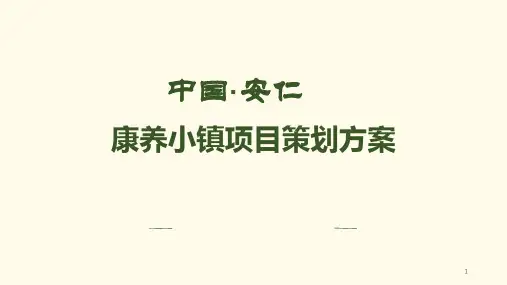 康养小镇策划方案 ppt课件