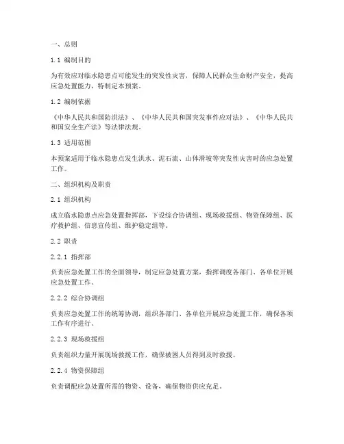 临水隐患点应急处置预案
