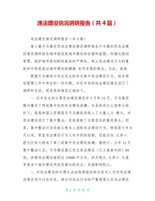 违法建设情况调研报告(共4篇)