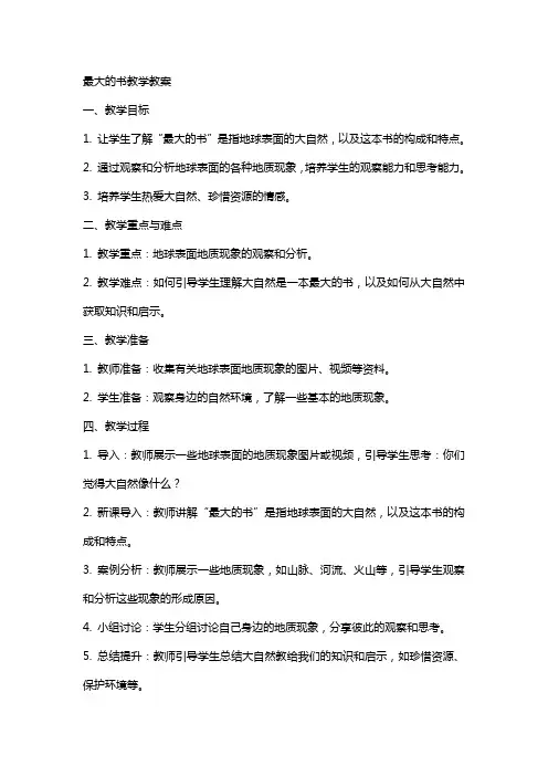 最大的书教学教案