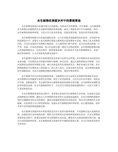 水生植物在美丽乡村中的景观营造